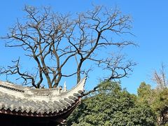 -龙华寺