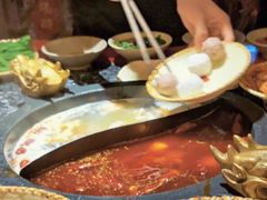 红白鸳鸯-蜀大侠火锅(龙岗店)