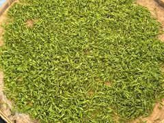 -欣怡茶庄·始于1999(梅家坞店)