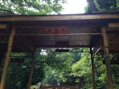 iphone_upload_pic-含鄱口