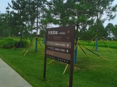 -汉长安城未央宫国家考古遗址公园