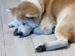 -YCHL Studios健身工作室(市二宫店)