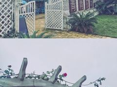-长洲岛