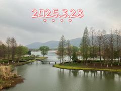 -长广溪湿地公园
