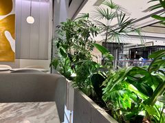 -théATRE 茶聚场(王府中環店)
