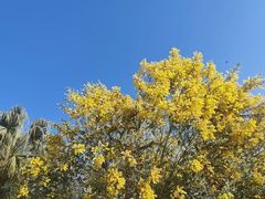 -火炉山森林公园
