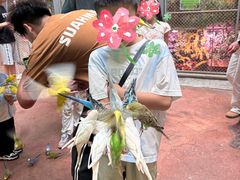 -正佳雨林生态植物园
