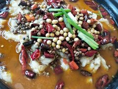 重庆豆花鱼-丽华园(青少年宫店)
