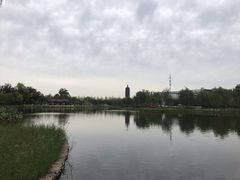 -西海子公园