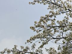 -蠡湖大桥公园