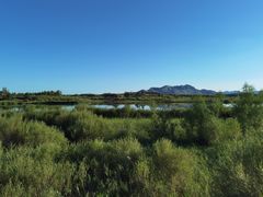 -玉龙沙湖景区