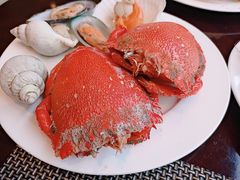 -喜来登酒店-盛宴标帜海鲜自助