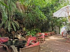 -Fern Forest Cafe