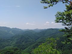 -天女山森林公园