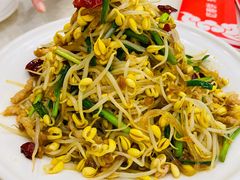 家常炒豆芽-大地春饼店(黄河路店)