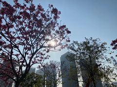 -海珠儿童公园