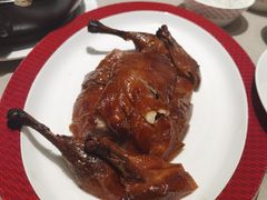 -圆苑(静安寺店)
