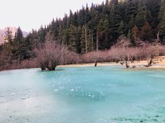 -黄龙山原始森林景区