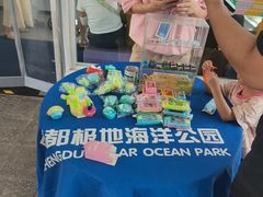 -海合安成都极地海洋公园