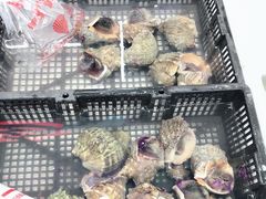 -青石桥市场北1-27号