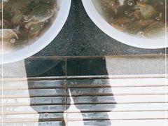 -芦潮港集贸市场