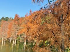 -广州市白云山风景名胜区