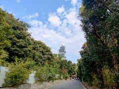 -深圳国际园林花卉博览园