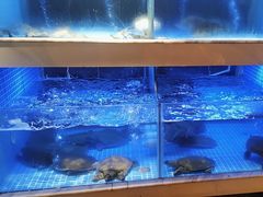 -王捌小院(红花坡店)