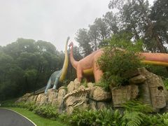 -森波拉奇妙世界