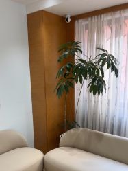 -HEYAN荷妍专业脱毛连锁机构