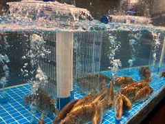 -好瑜筷桂鱼专门店(植物园店)