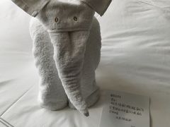 -青岛海尔洲际酒店