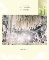 -HELLO你好婚礼婚庆策划
