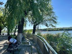 -长春市南湖公园