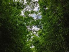 -蝴蝶泉公园