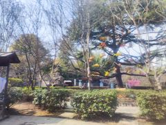 -汤山一号温泉度假区
