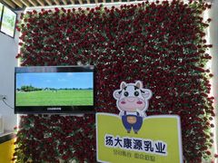 -扬大康源乳业鲜奶吧(大学北路店)