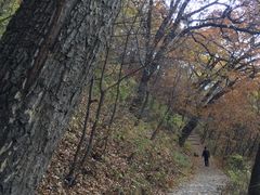 -九鼎铁刹山风景区