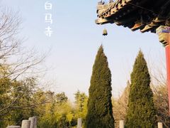 -洛阳白马寺