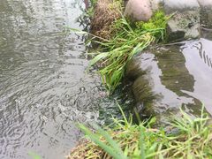 -成都杜甫草堂博物馆