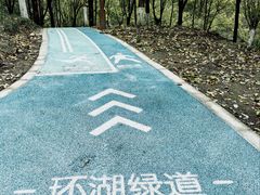 -重庆彩云湖湿地公园