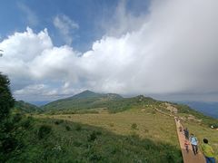 -白草畔自然风景区