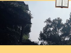 -张鸭子重庆特产卤味小吃(未来国际店)