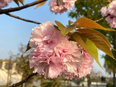 -上海月湖雕塑公园
