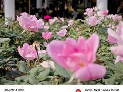 -人民公园(罗湖区)