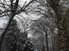 -北海道厅旧本厅舍(旧本庁舎)