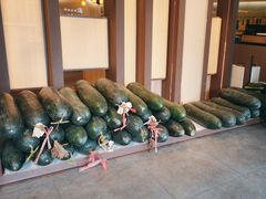 -翟辉冬瓜盅火锅(南村万博店)