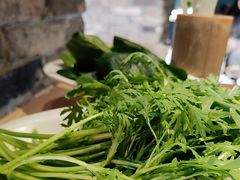 -蓉客成都火锅·招牌麻辣牛杂·特色香辣蹄花(凌水店)
