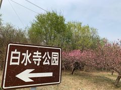 -白水寺森林公园