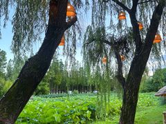 -百翠山居.家飨餐厅